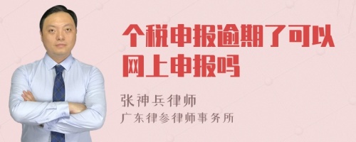 个税申报逾期了可以网上申报吗