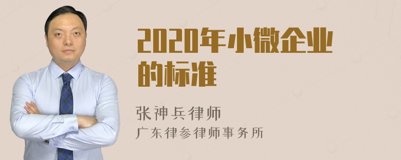 2020年小微企业的标准