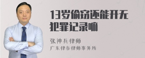 13岁偷窃还能开无犯罪记录嘛