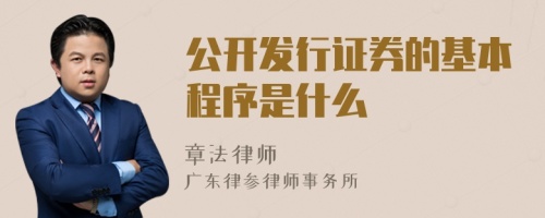 公开发行证券的基本程序是什么