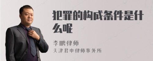 犯罪的构成条件是什么呢