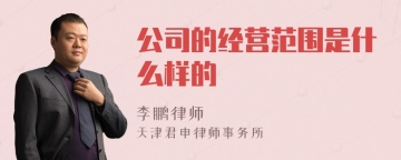 公司的经营范围是什么样的