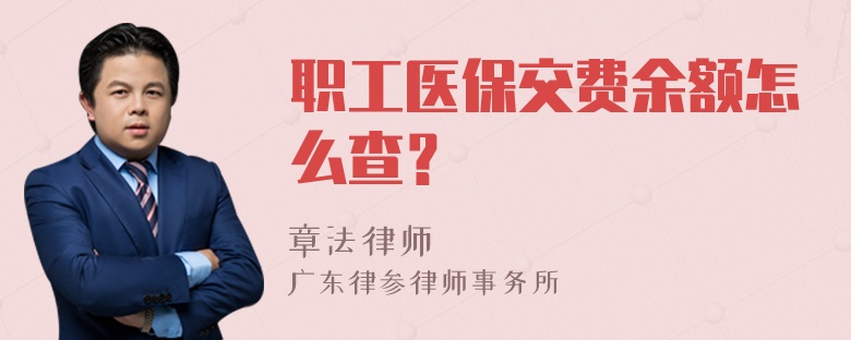 职工医保交费余额怎么查？