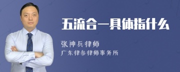 五流合一具体指什么