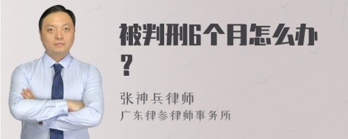 被判刑6个月怎么办？