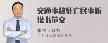 交通事故死亡民事诉讼书范文