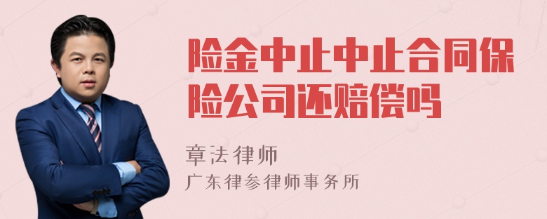 险金中止中止合同保险公司还赔偿吗