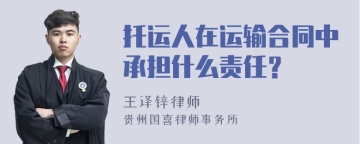 托运人在运输合同中承担什么责任？