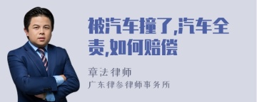 被汽车撞了,汽车全责,如何赔偿