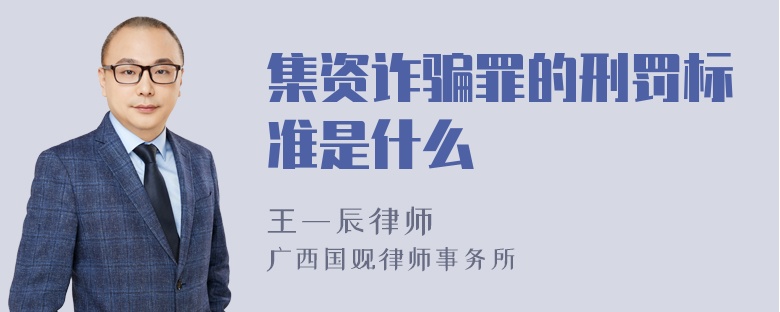 集资诈骗罪的刑罚标准是什么