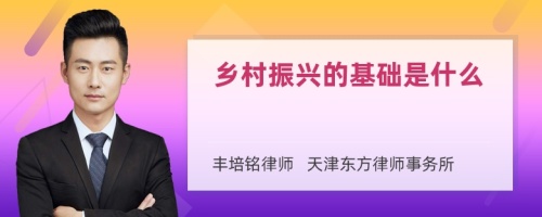 乡村振兴的基础是什么