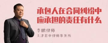 承包人在合同纠纷中应承担的责任有什么