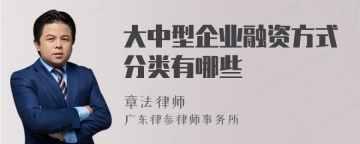 大中型企业融资方式分类有哪些