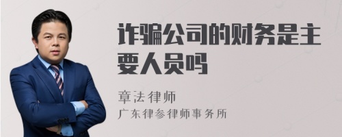 诈骗公司的财务是主要人员吗