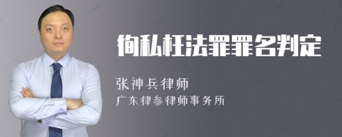 徇私枉法罪罪名判定