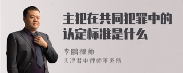 主犯在共同犯罪中的认定标准是什么