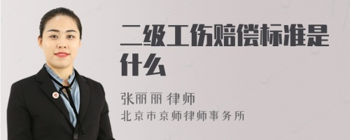 二级工伤赔偿标准是什么