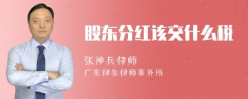 股东分红该交什么税