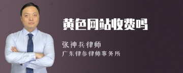 黄色网站收费吗