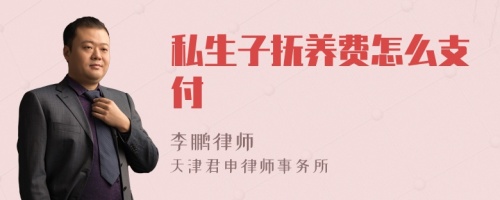 私生子抚养费怎么支付