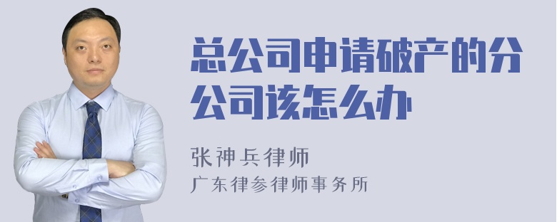 总公司申请破产的分公司该怎么办