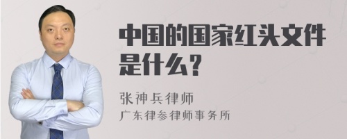 中国的国家红头文件是什么？