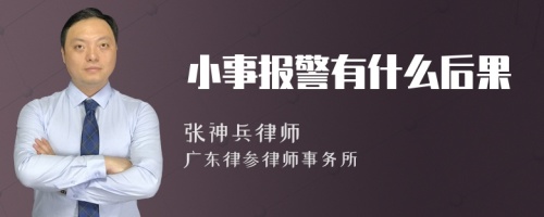 小事报警有什么后果