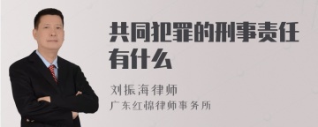 共同犯罪的刑事责任有什么