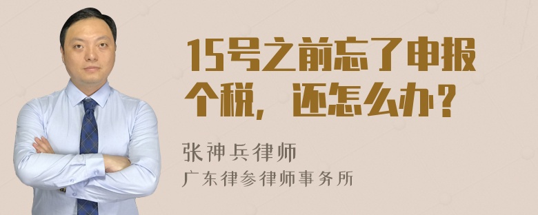 15号之前忘了申报个税，还怎么办？