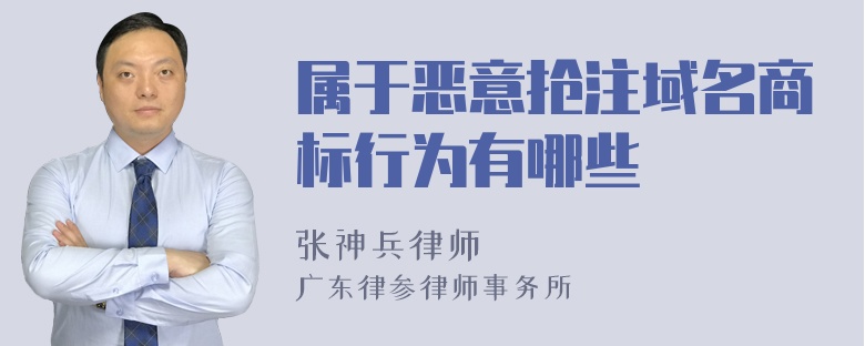 属于恶意抢注域名商标行为有哪些