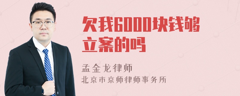 欠我6000块钱够立案的吗