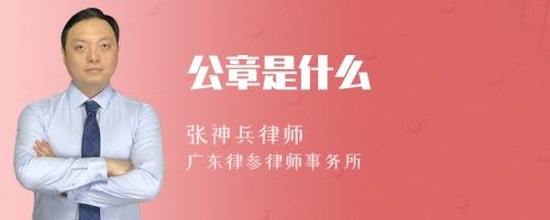 公章是什么