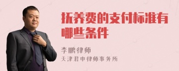 抚养费的支付标准有哪些条件