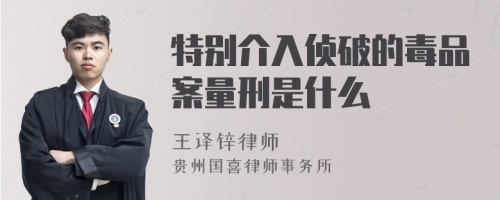 特别介入侦破的毒品案量刑是什么