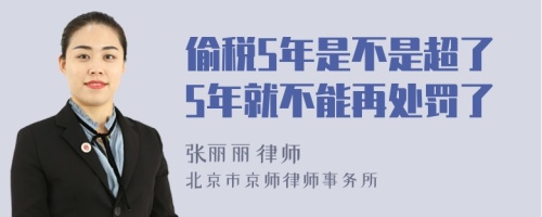 偷税5年是不是超了5年就不能再处罚了