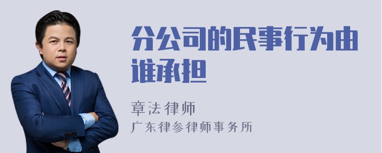 分公司的民事行为由谁承担