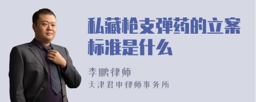 私藏枪支弹药的立案标准是什么