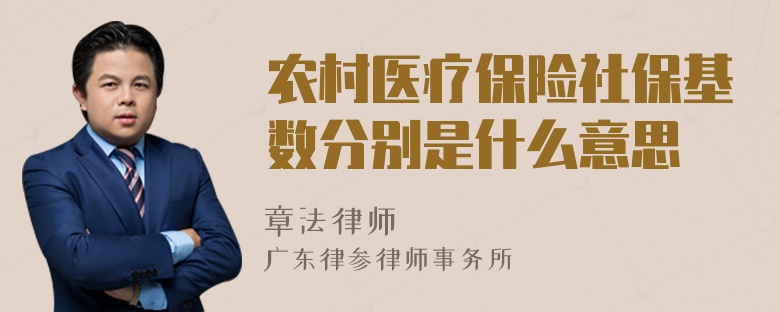 农村医疗保险社保基数分别是什么意思