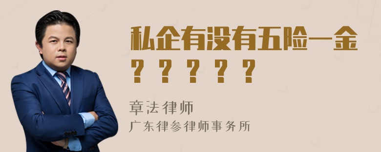 私企有没有五险一金? ? ? ? ?