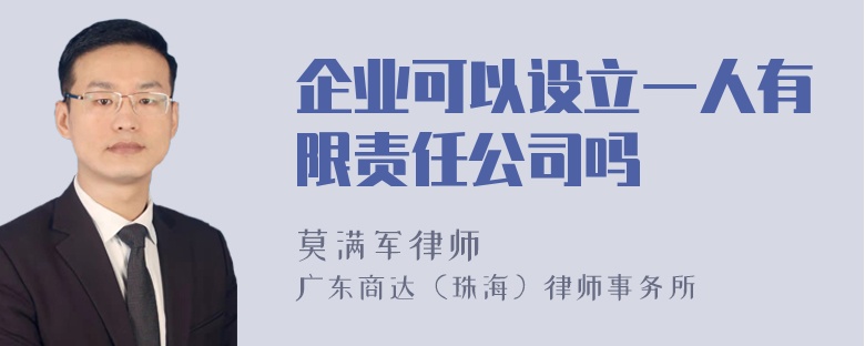 企业可以设立一人有限责任公司吗