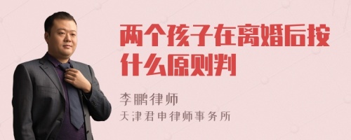 两个孩子在离婚后按什么原则判