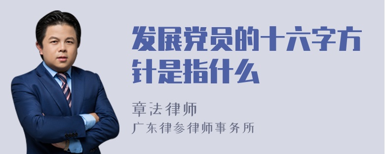 发展党员的十六字方针是指什么