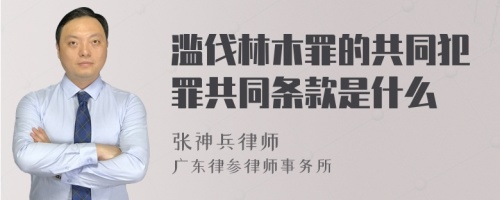 滥伐林木罪的共同犯罪共同条款是什么