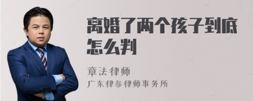 离婚了两个孩子到底怎么判