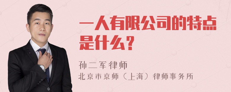 一人有限公司的特点是什么？