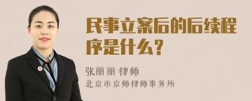 民事立案后的后续程序是什么？