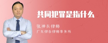 共同犯罪是指什么