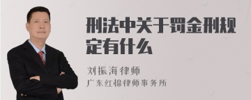 刑法中关于罚金刑规定有什么