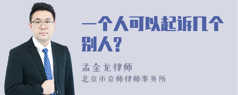 一个人可以起诉几个别人?