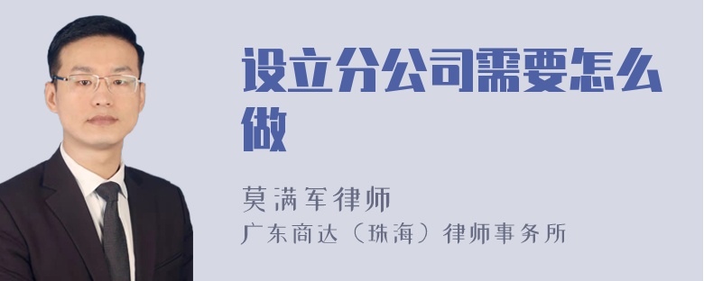 设立分公司需要怎么做